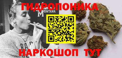прущие грибы Обь